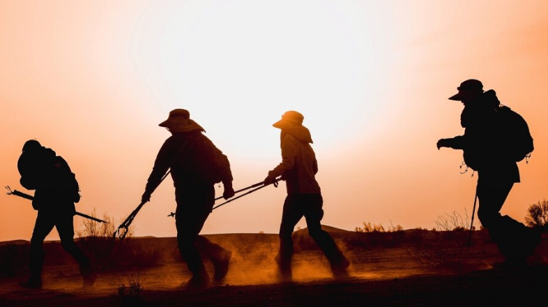 1773625928124202bq4M.png 图片3.png